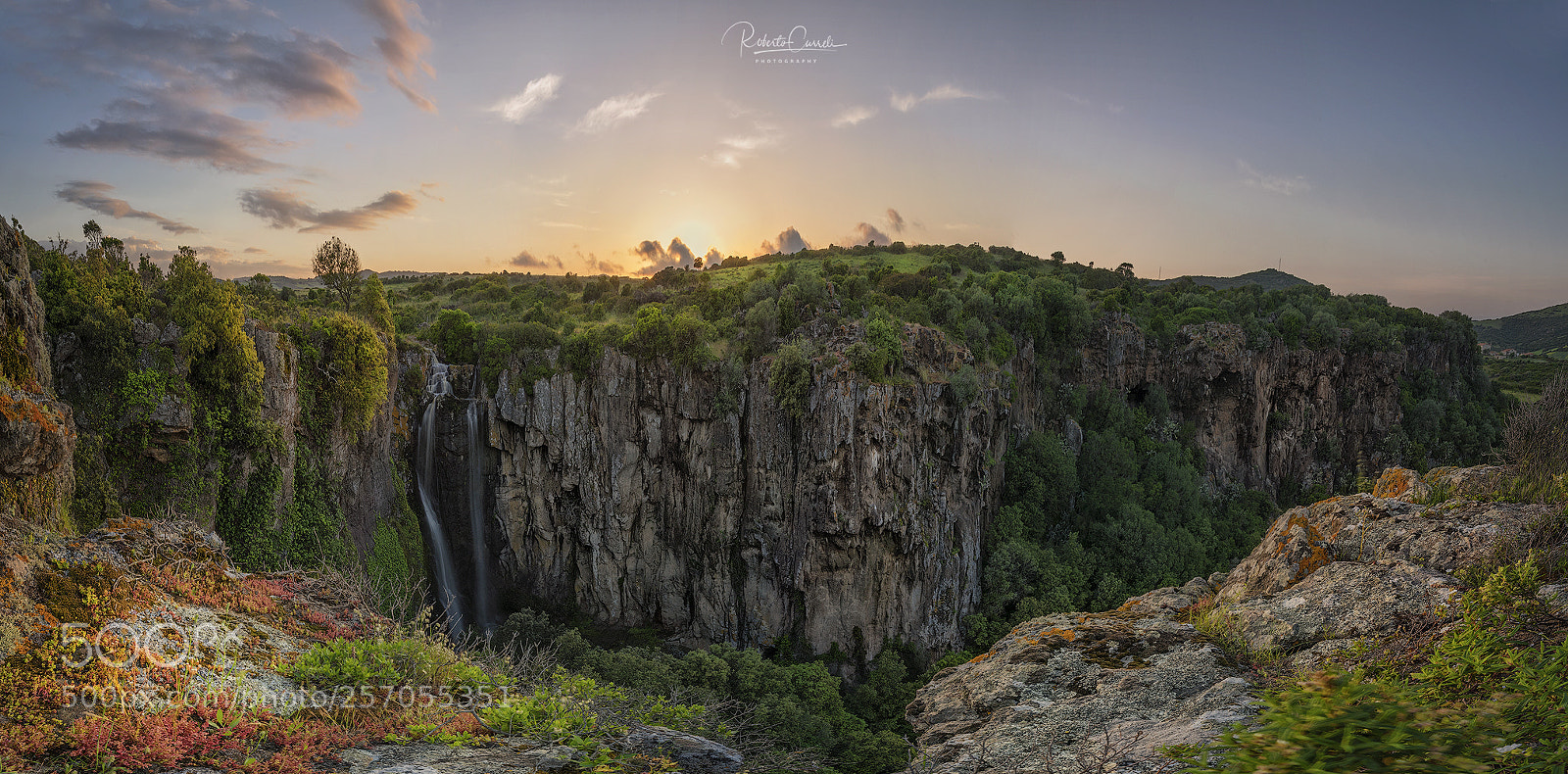 Nikon D750 sample photo. :::amazzonia::: photography