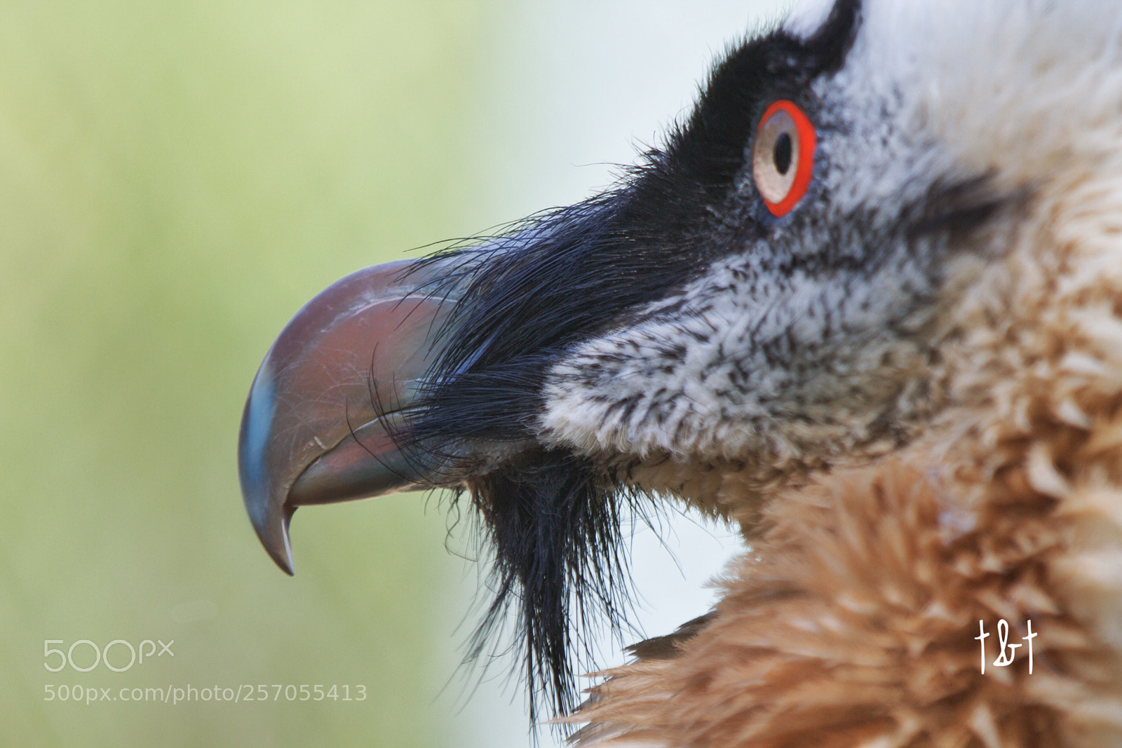 Canon EOS 7D sample photo. Untitled photography