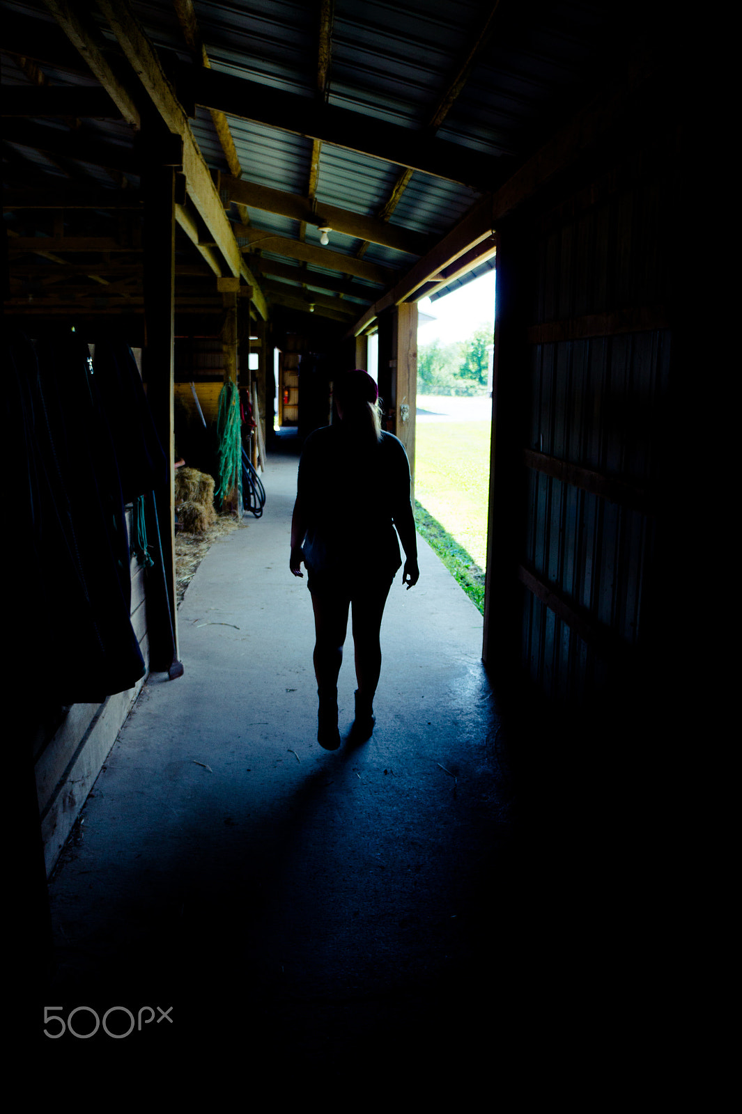 Sony Alpha a3000 sample photo. Early morning light photography
