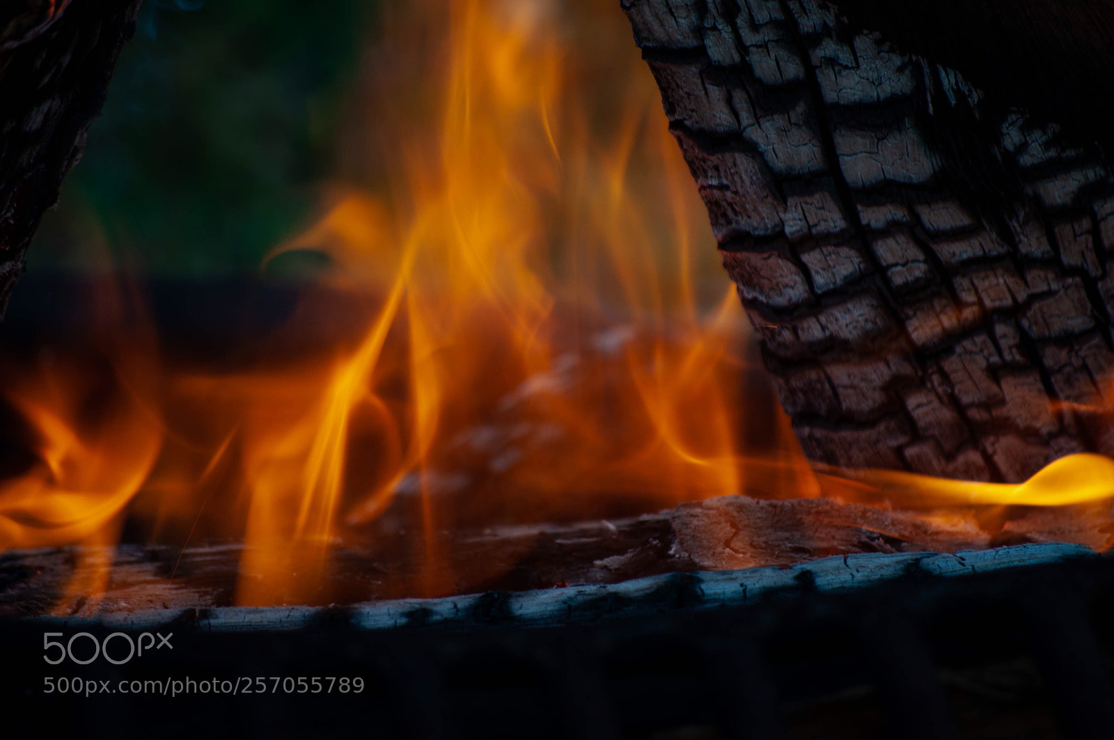 Nikon D90 sample photo. Fire photography