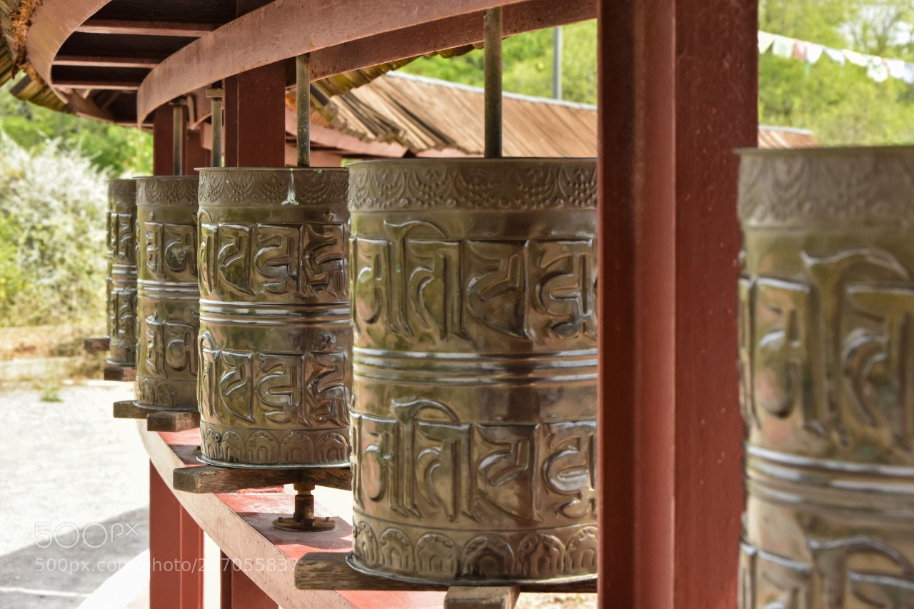 Nikon D7200 sample photo. Buda2 photography