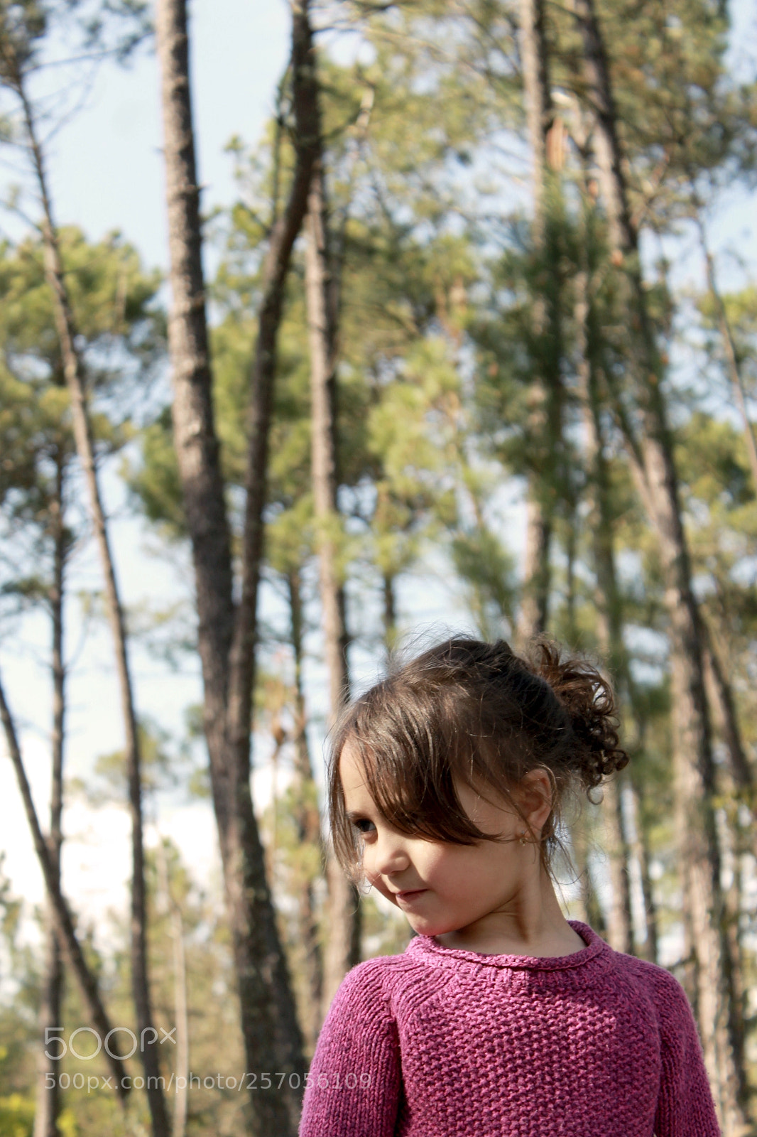 Canon EOS 1200D (EOS Rebel T5 / EOS Kiss X70 / EOS Hi) sample photo. Mf photography