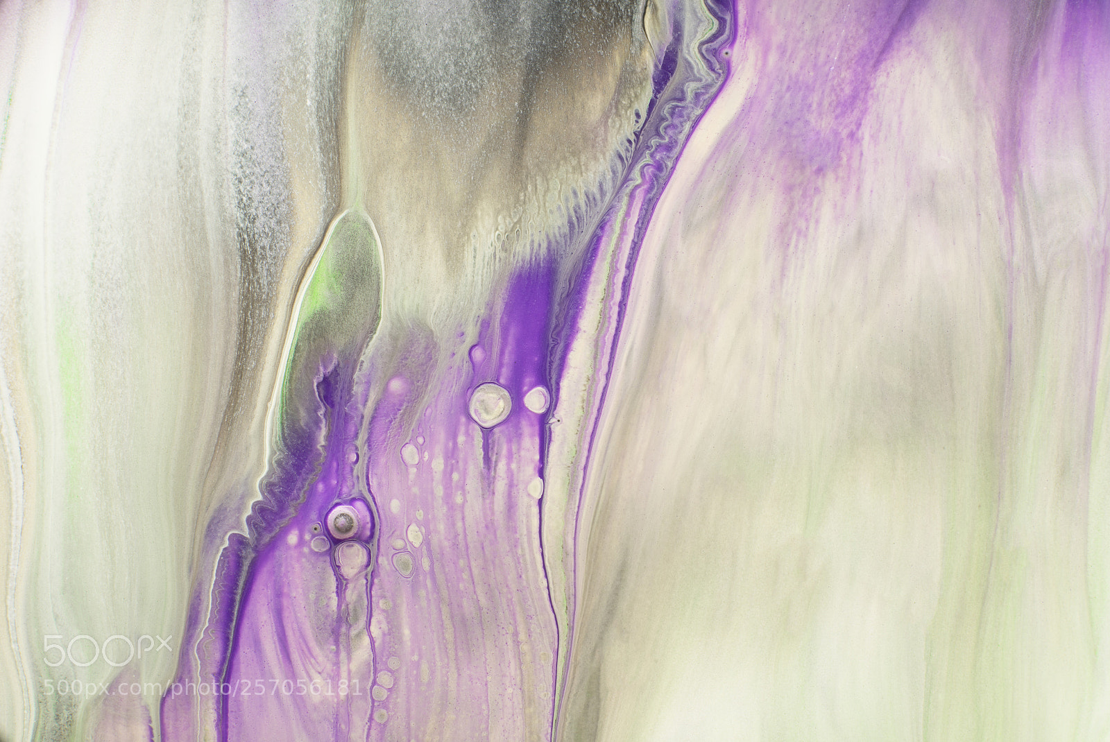 Sony a7R sample photo. Plate 6232 photography