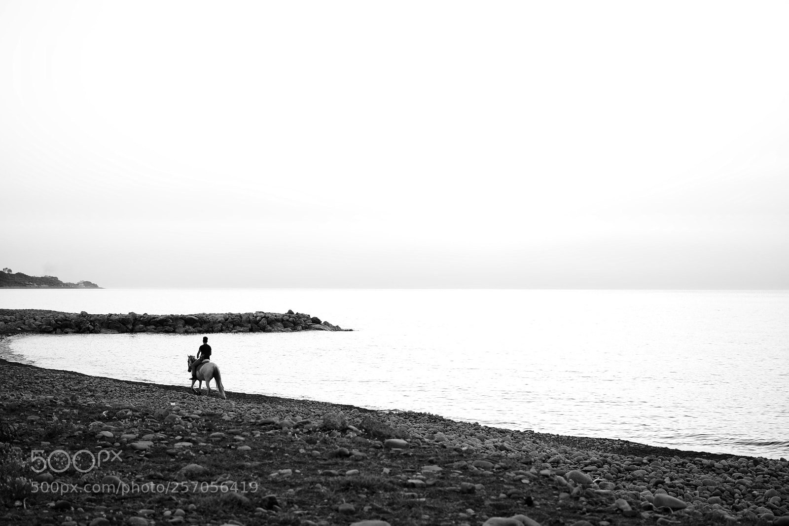 Nikon D7100 sample photo. Untitled photography