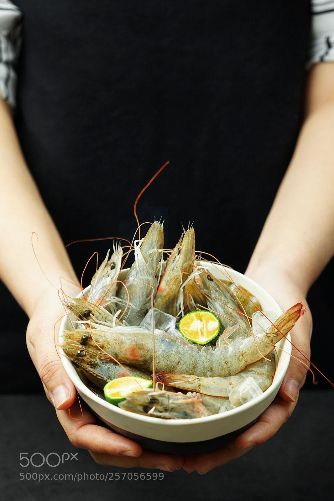 Sony a7 II sample photo. Shrimp photography