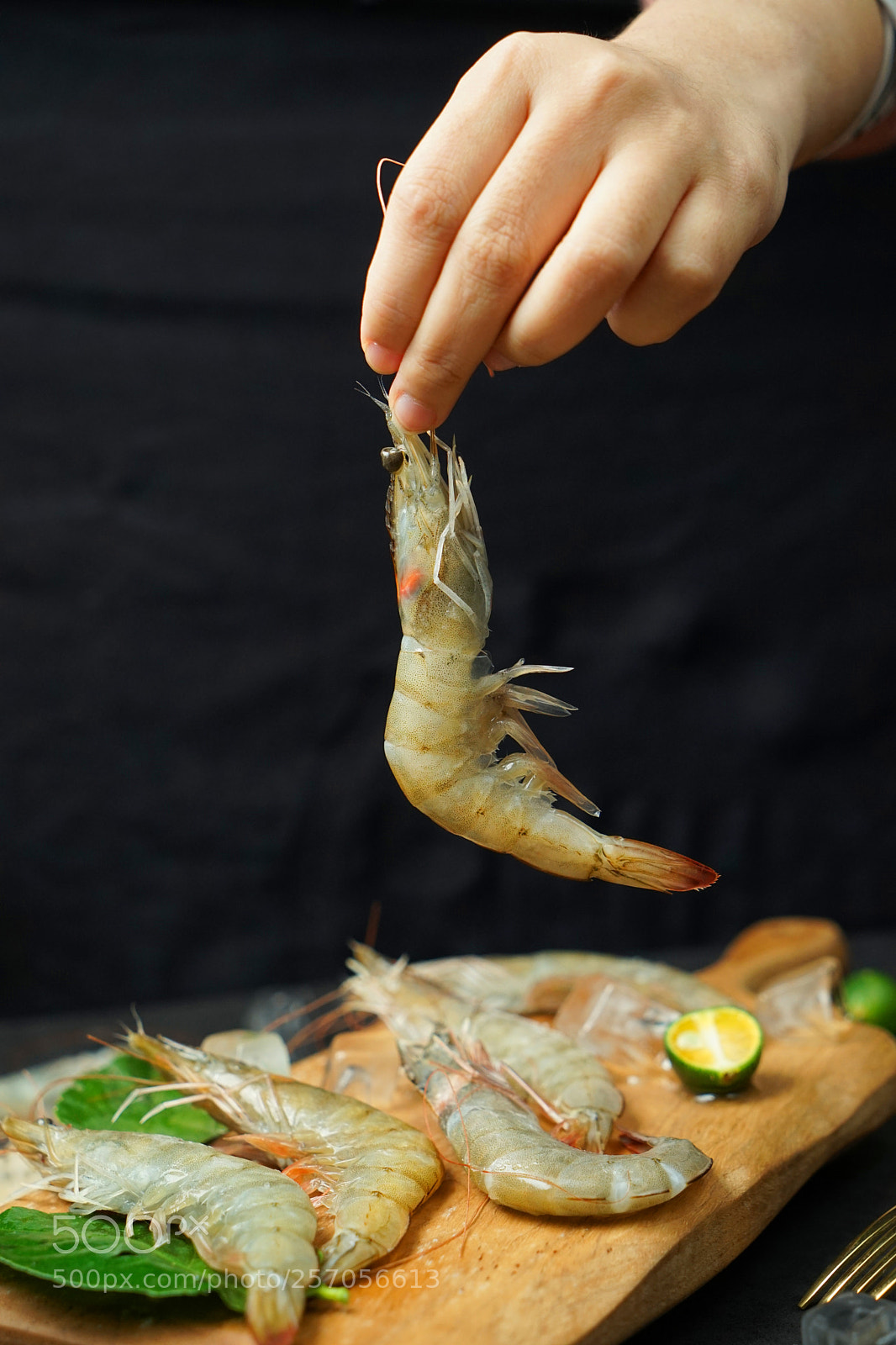 Sony a7 II sample photo. Shrimp photography