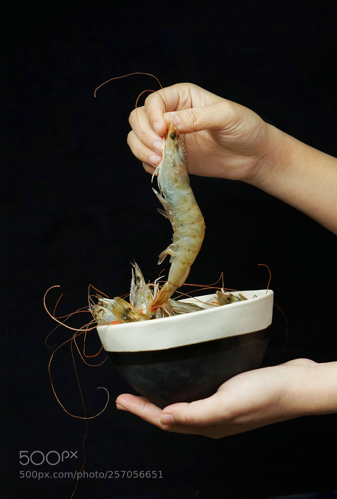 Sony a7 II sample photo. Shrimp photography