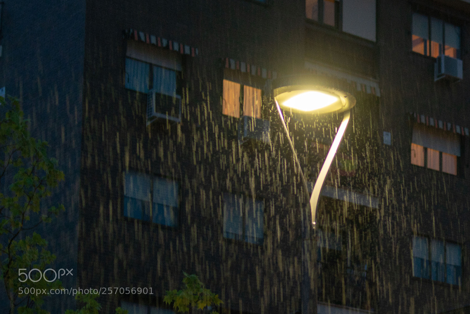 Sony a7R sample photo. Interiores photography