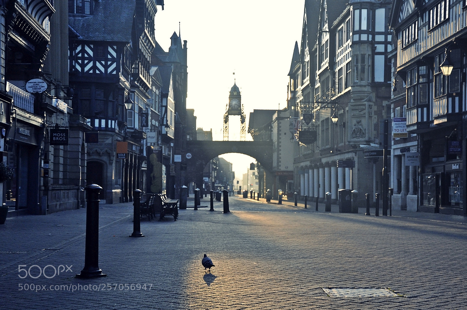 Nikon D90 sample photo. Chester - a new photography