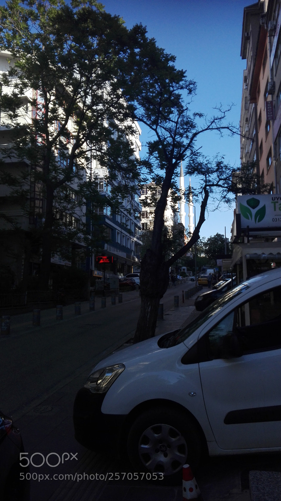 HUAWEI P8 Lite sample photo. Holly light is there photography