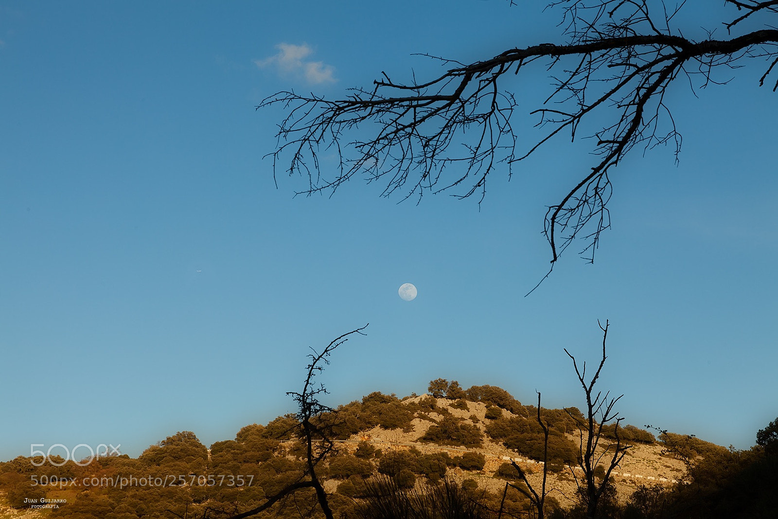 Canon EOS 5D Mark II sample photo. La luna photography