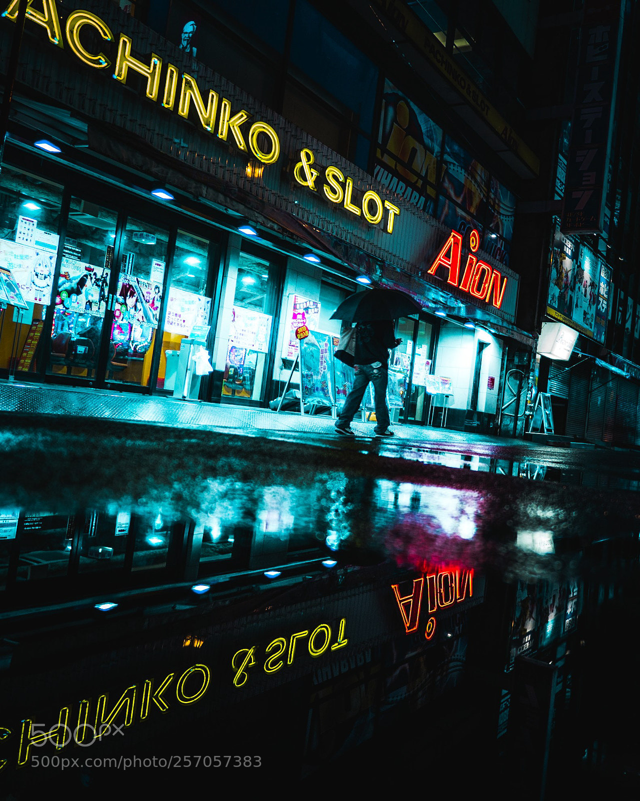 Olympus OM-D E-M5 II sample photo. Pachikoo photography