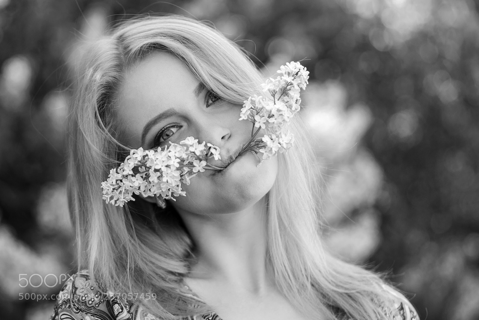 Nikon D610 sample photo. A branch of lilac photography
