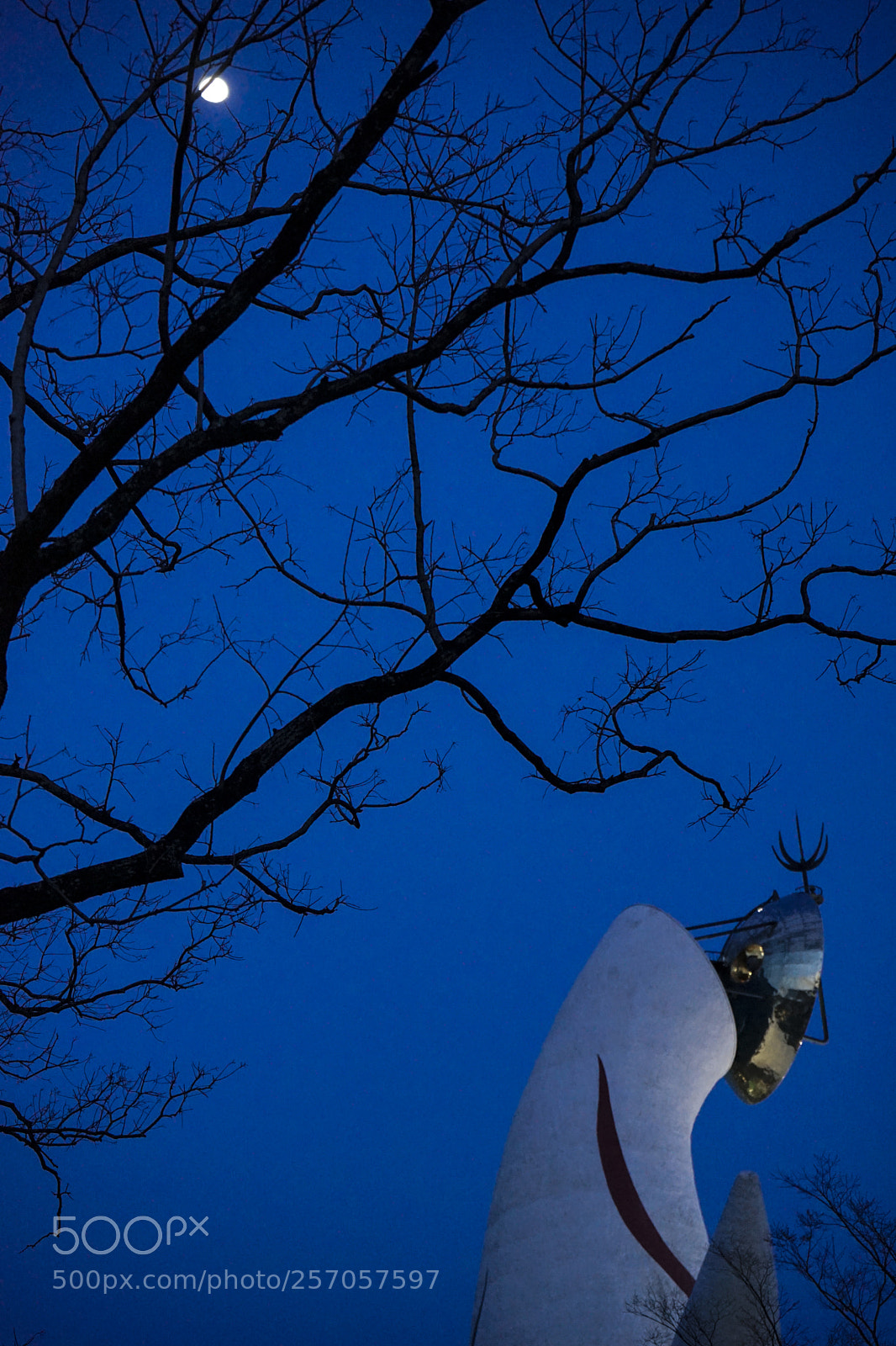 Sony a7 II sample photo. 太陽の塔 photography