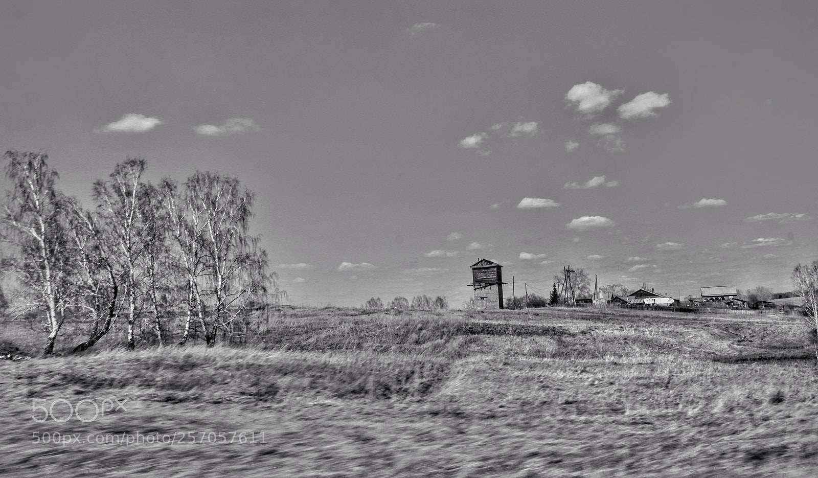 Canon EOS 50D sample photo. Untitled photography
