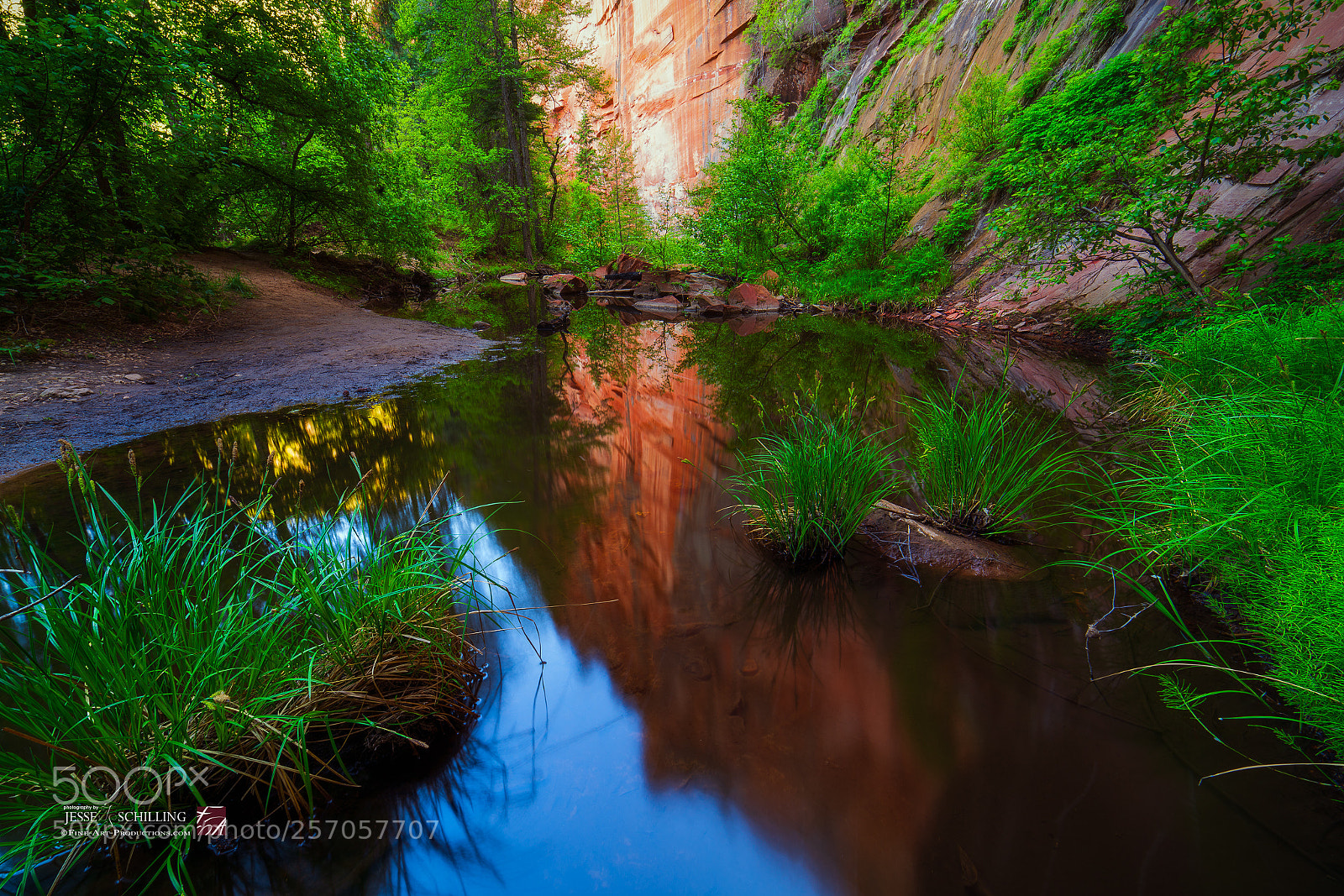 Sony a7R II sample photo. West fork reflections photography