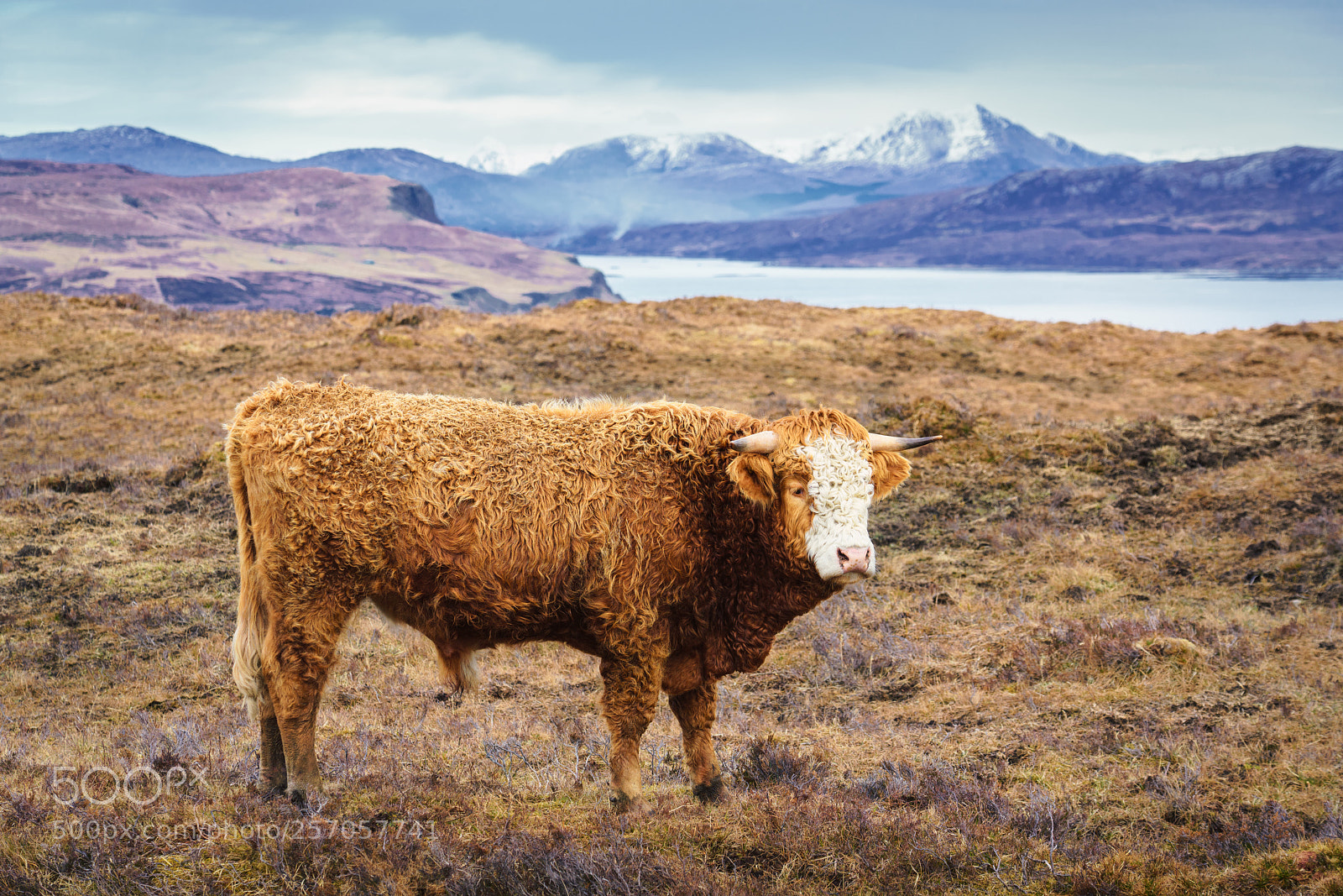 Sony a7R III sample photo. The highlands photography