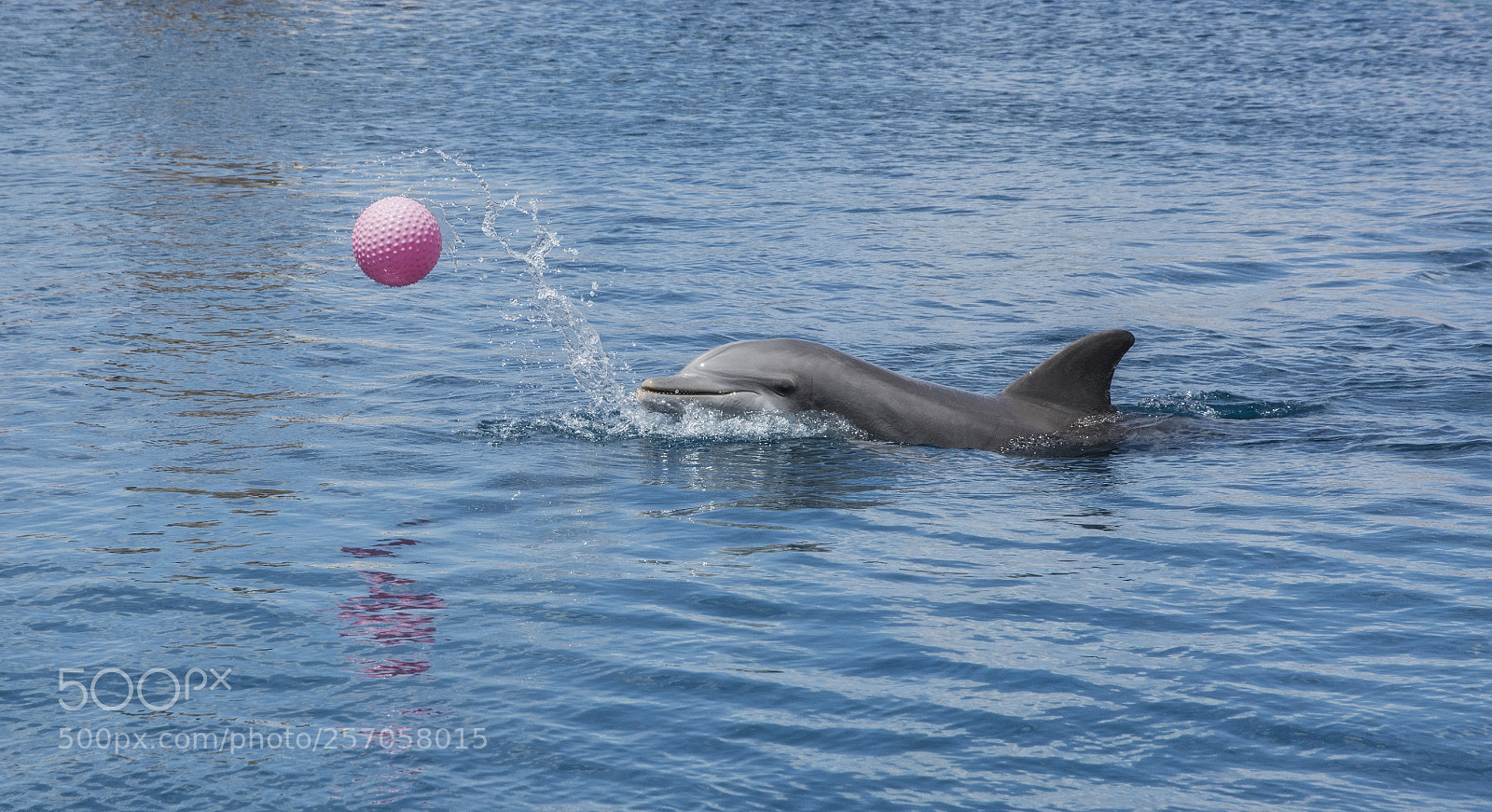 Nikon D7100 sample photo. Playing waterpolo photography