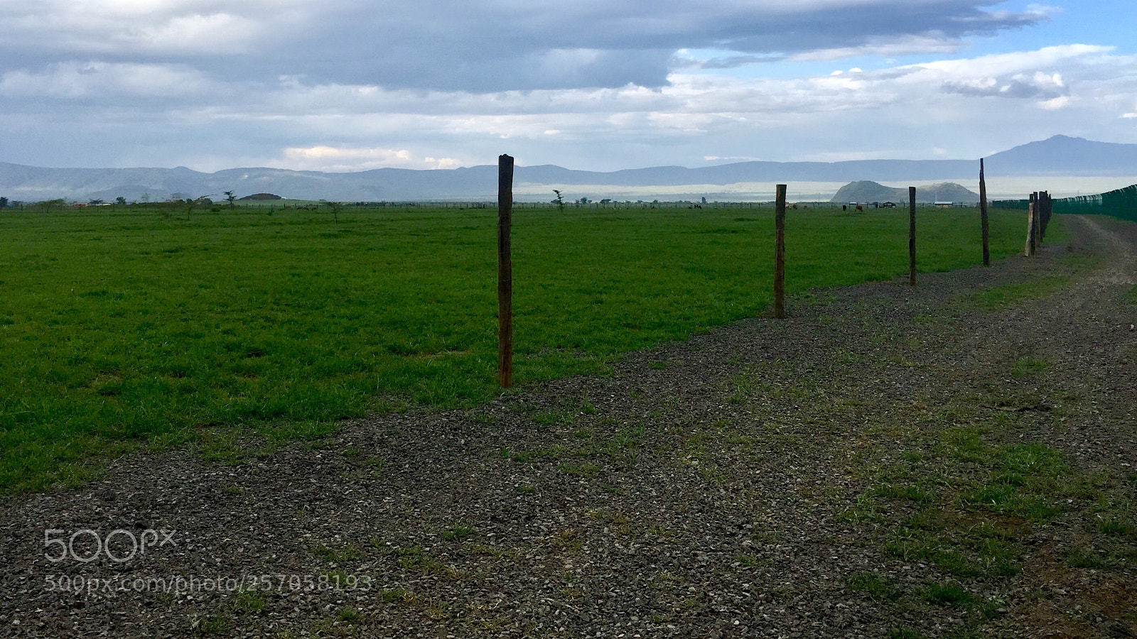 Apple iPhone 6 Plus sample photo. Untitled photography