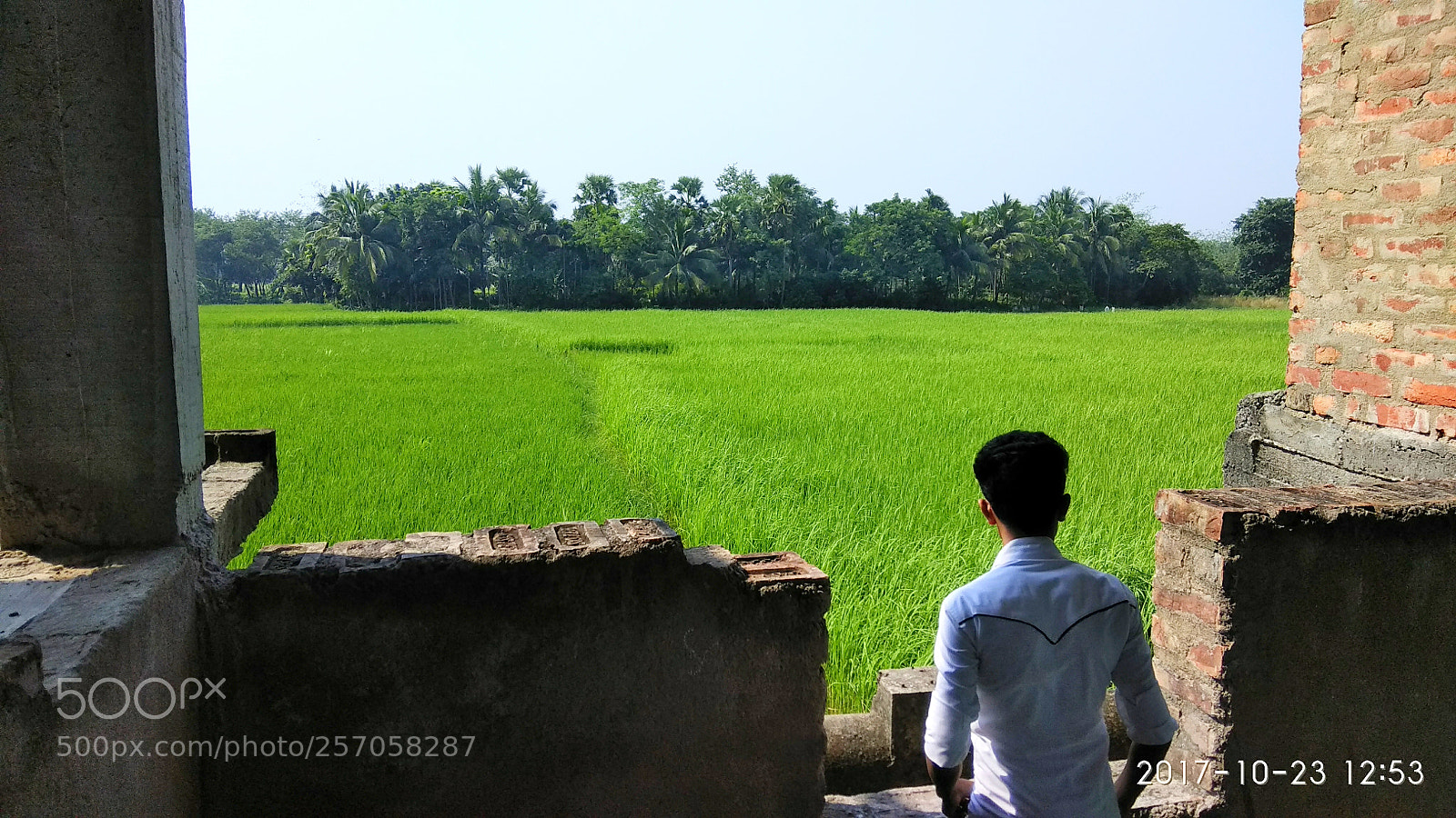 Xiaomi Redmi Note 4 sample photo. Untitled photography