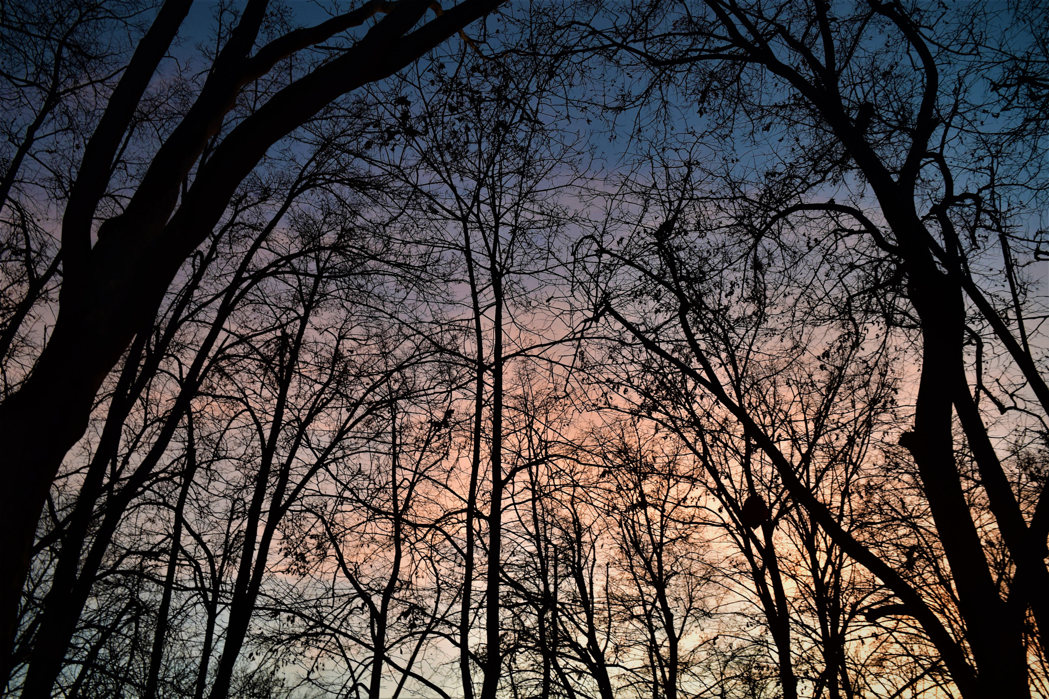 Nikon D5300 sample photo
