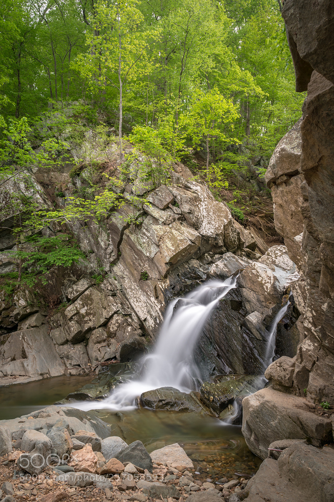 Sony a6300 sample photo. Scotts run photography