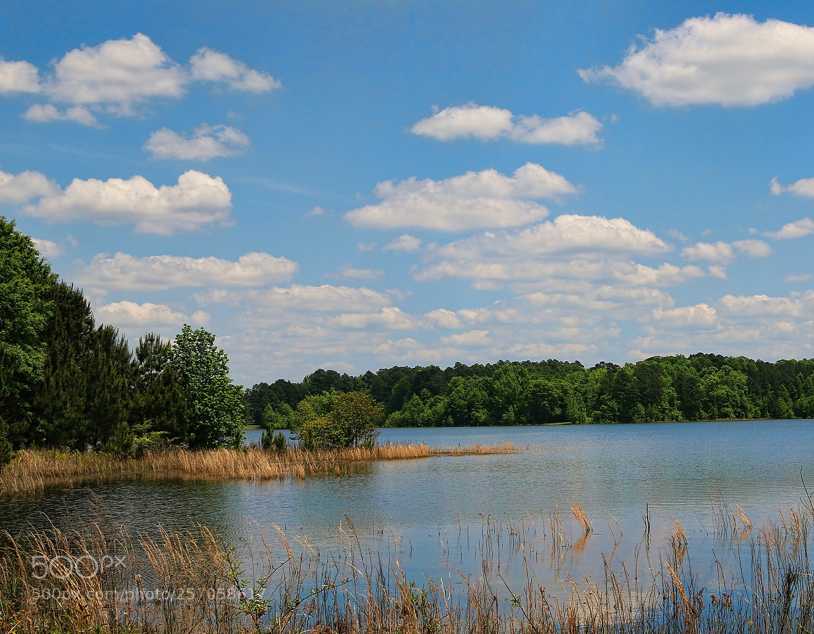 Canon EOS 70D sample photo. At the lake photography
