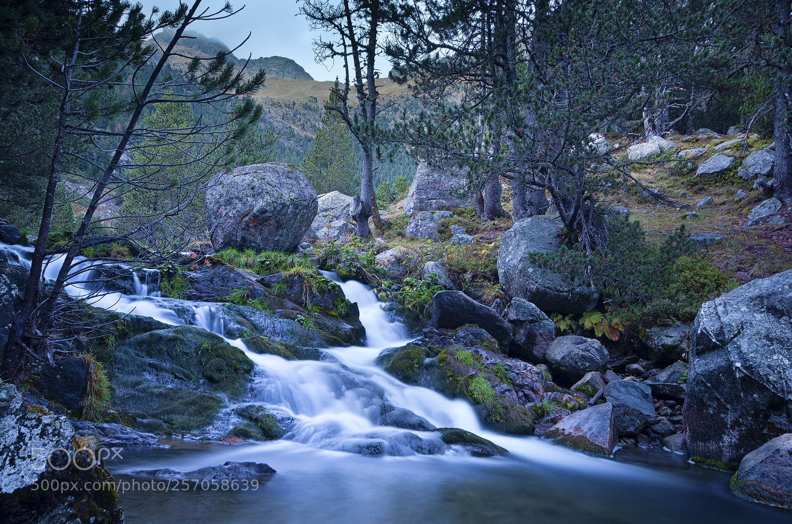 Nikon D300 sample photo. Hidden places photography