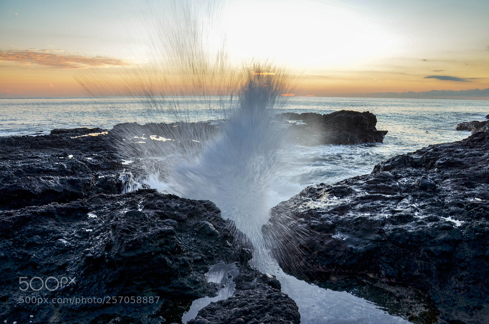 Nikon D5100 sample photo. Splash ! photography