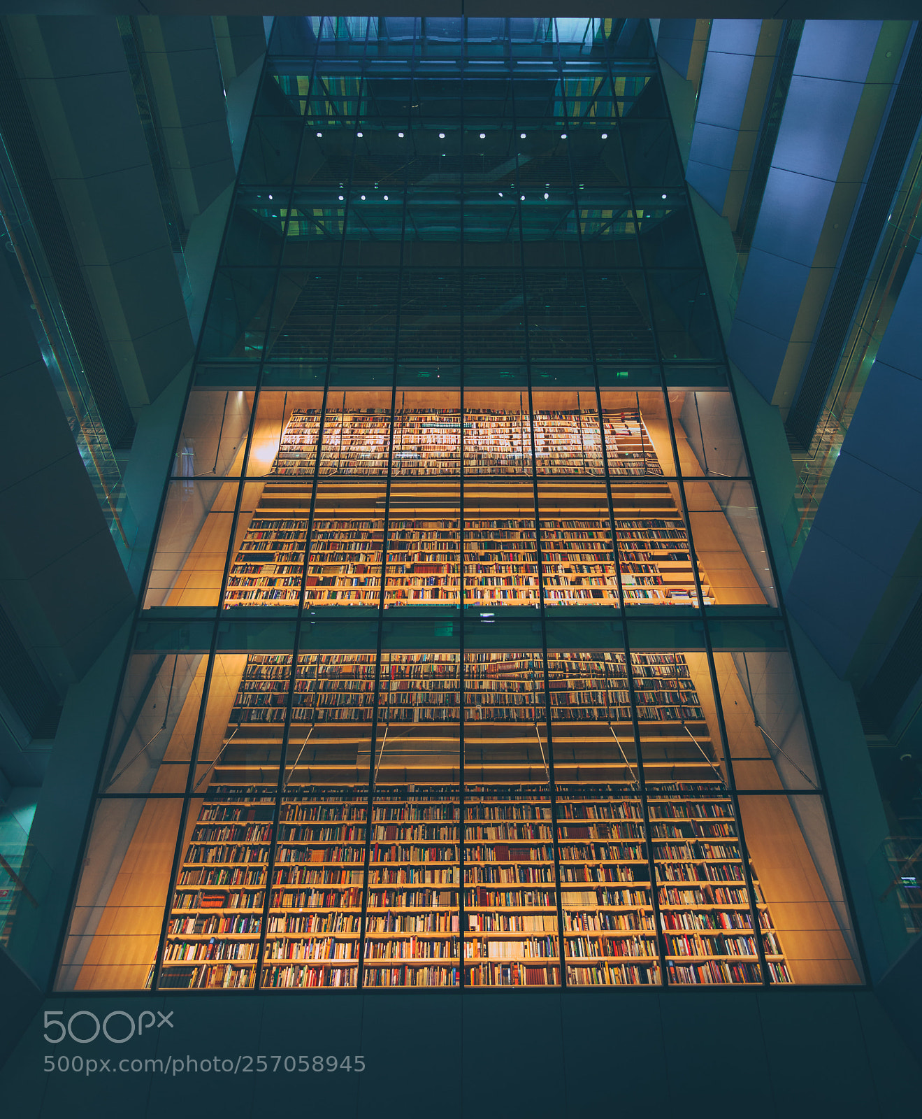 Nikon D5200 sample photo. National library of latvia photography
