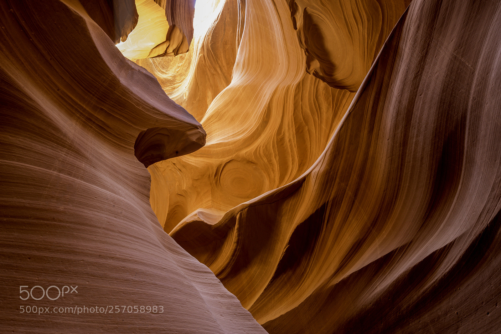 Nikon D800 sample photo. Carved in sandstone photography