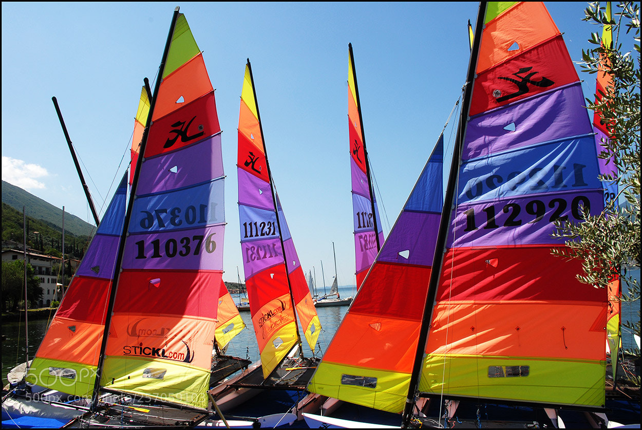 Nikon D200 sample photo. Sail away photography