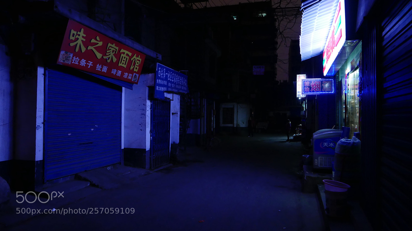 Leica D-Lux (Typ 109) sample photo. 《子夜長安》 photography