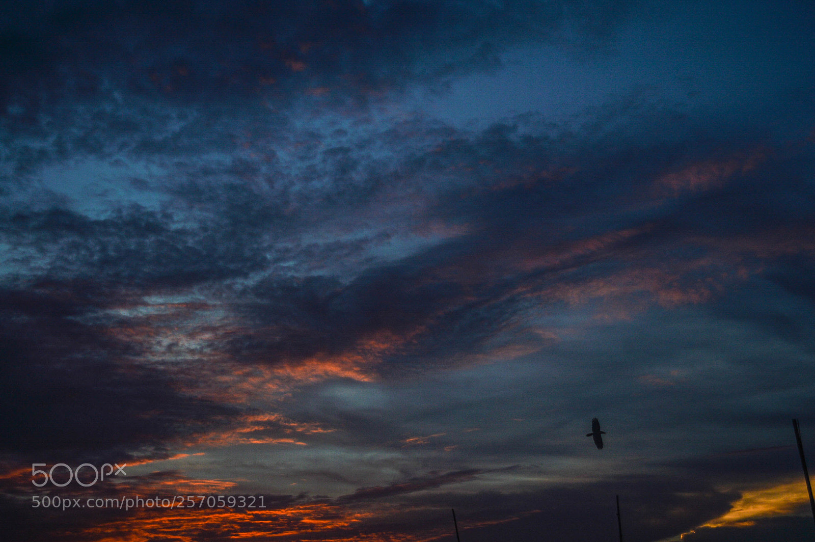 Nikon D3200 sample photo. I can go the photography