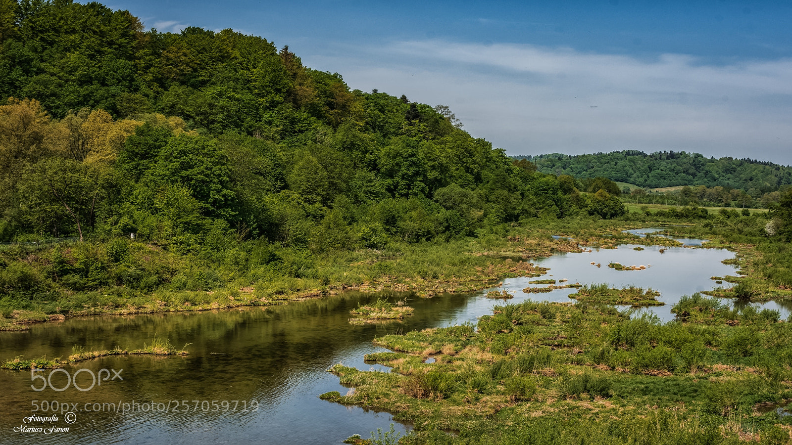 Nikon D7200 sample photo. "przyroda" photography