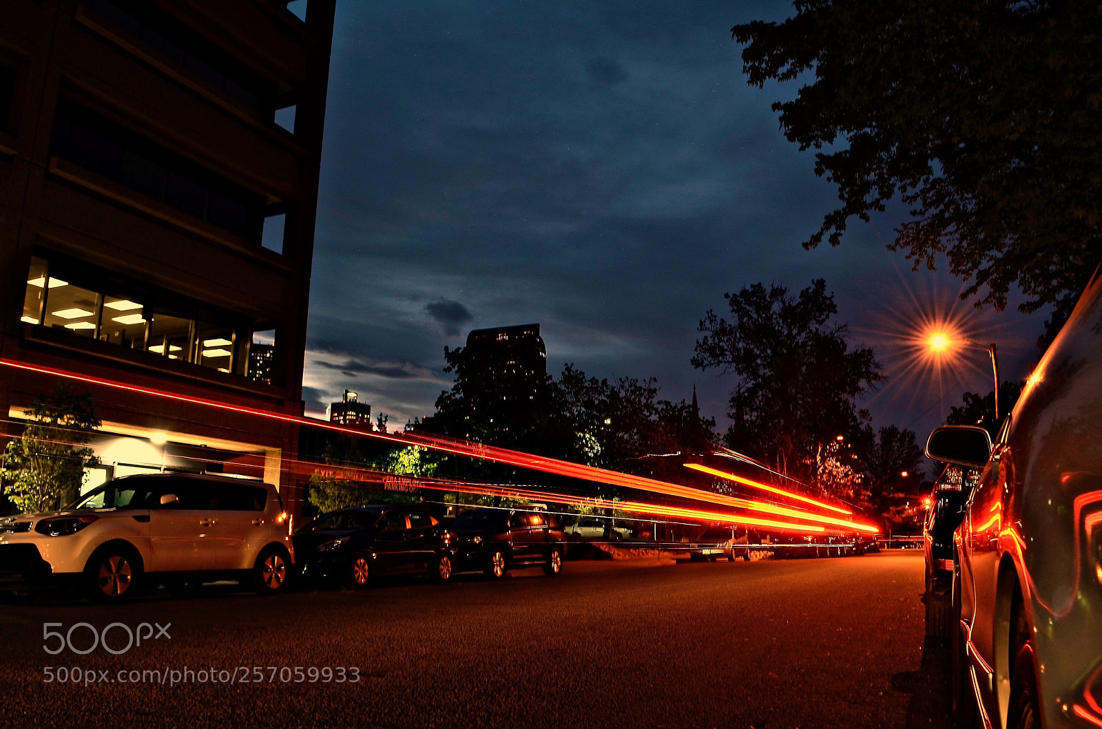Nikon D7000 sample photo. Speed photography