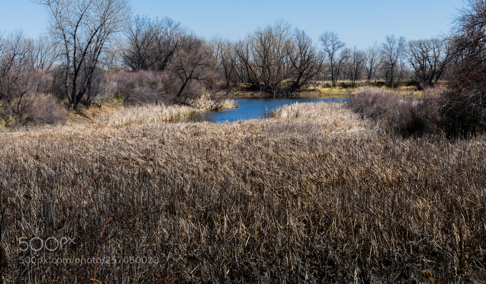 Canon EOS 80D sample photo. Sawhill nesting area photography