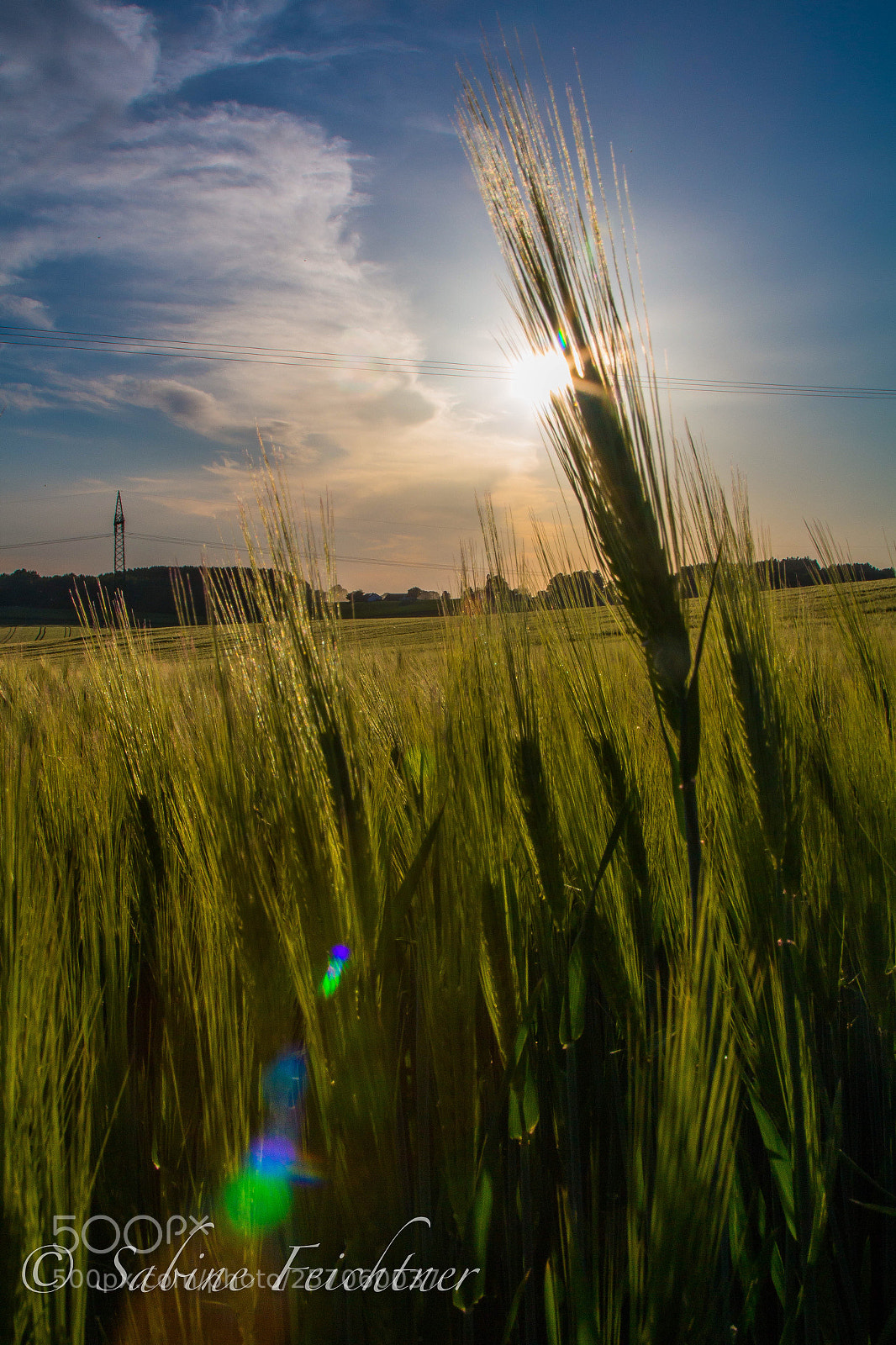 Canon EOS 70D sample photo. Sun is shining, the photography