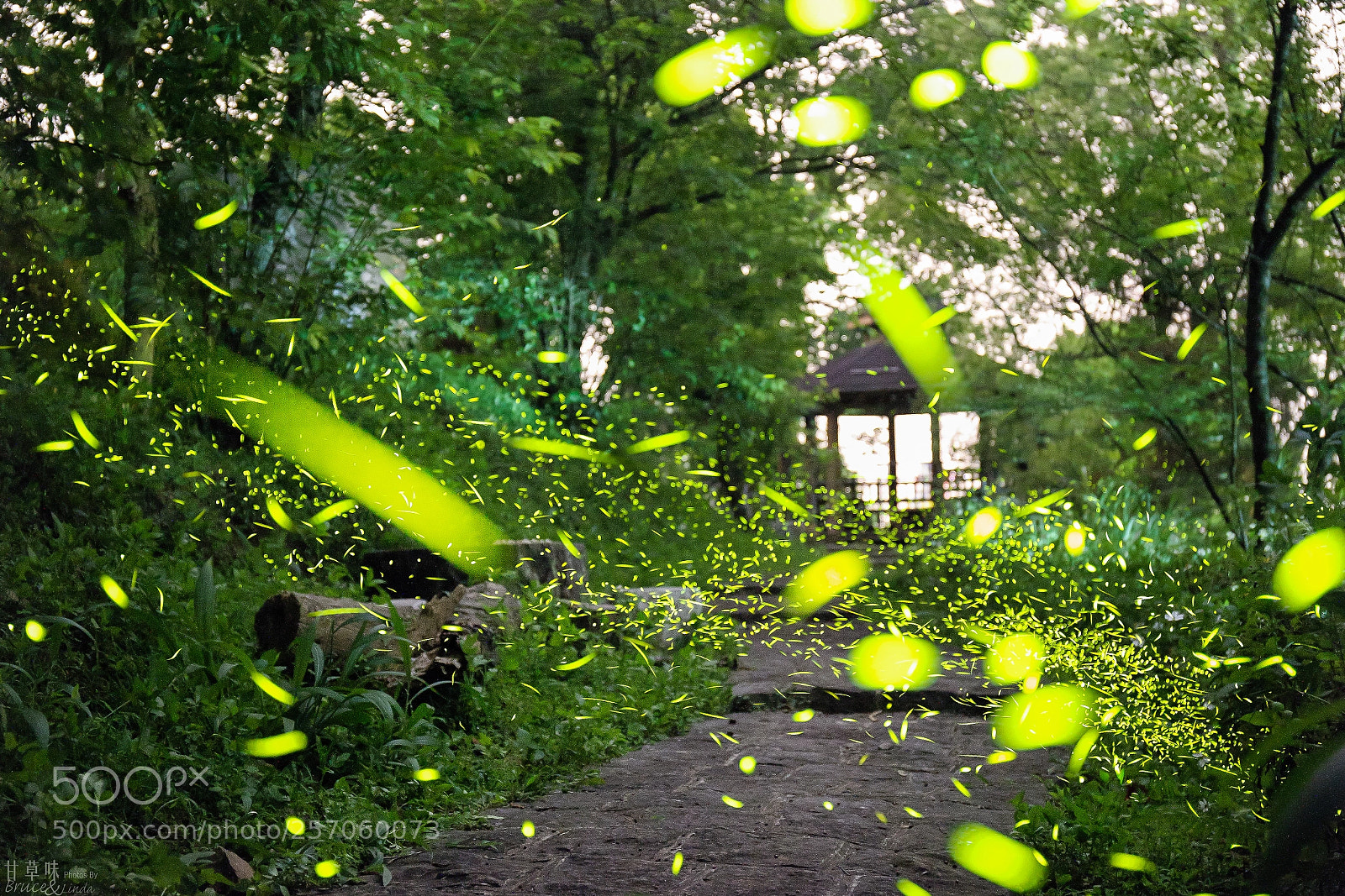 Canon EOS 6D sample photo. The way photography
