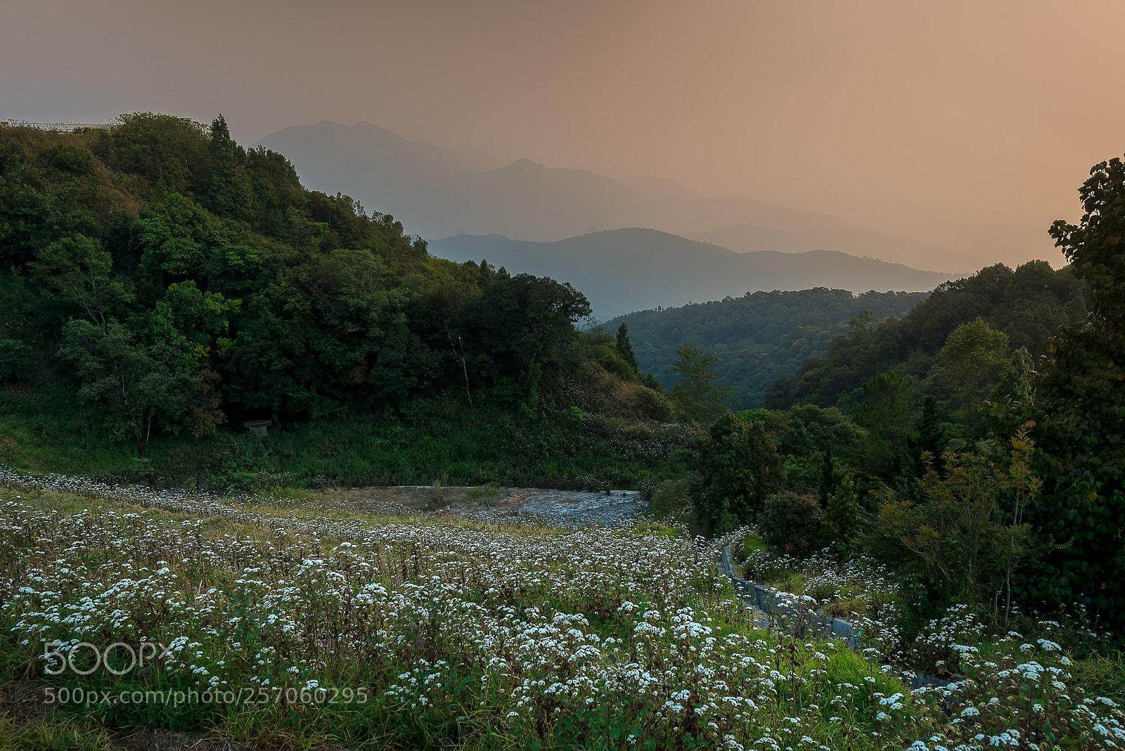 Nikon D800E sample photo. The mountain photography