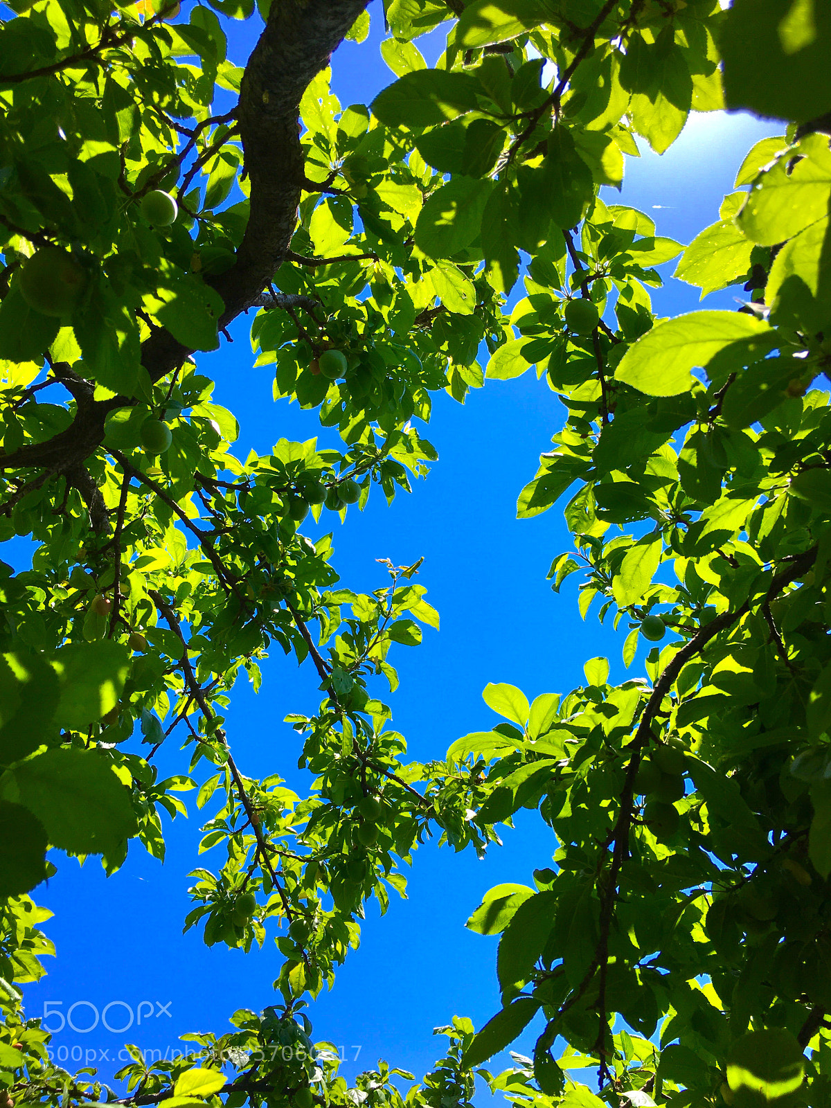 Apple iPhone 6s sample photo. Sky  photography