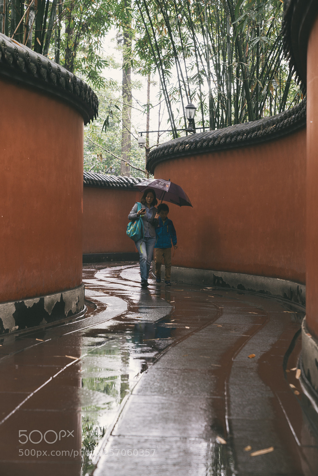 Sony a7R III sample photo. 雨中武侯祠 photography
