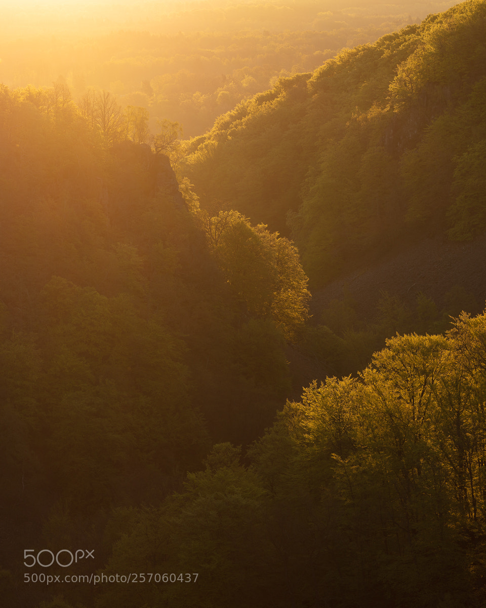 Canon EOS 5DS R sample photo. S der sen v photography