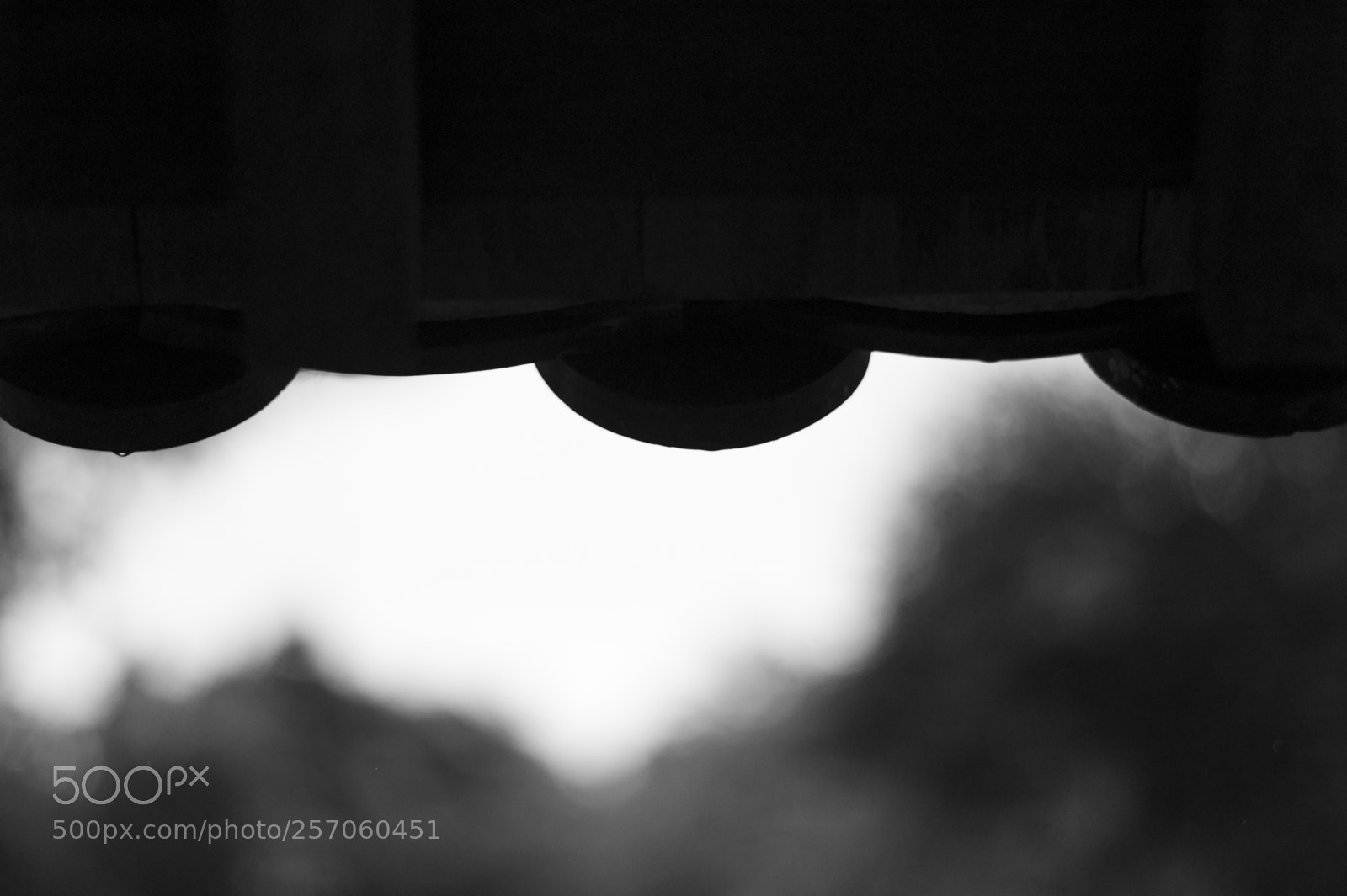 Leica M9 sample photo. The shading #10 photography