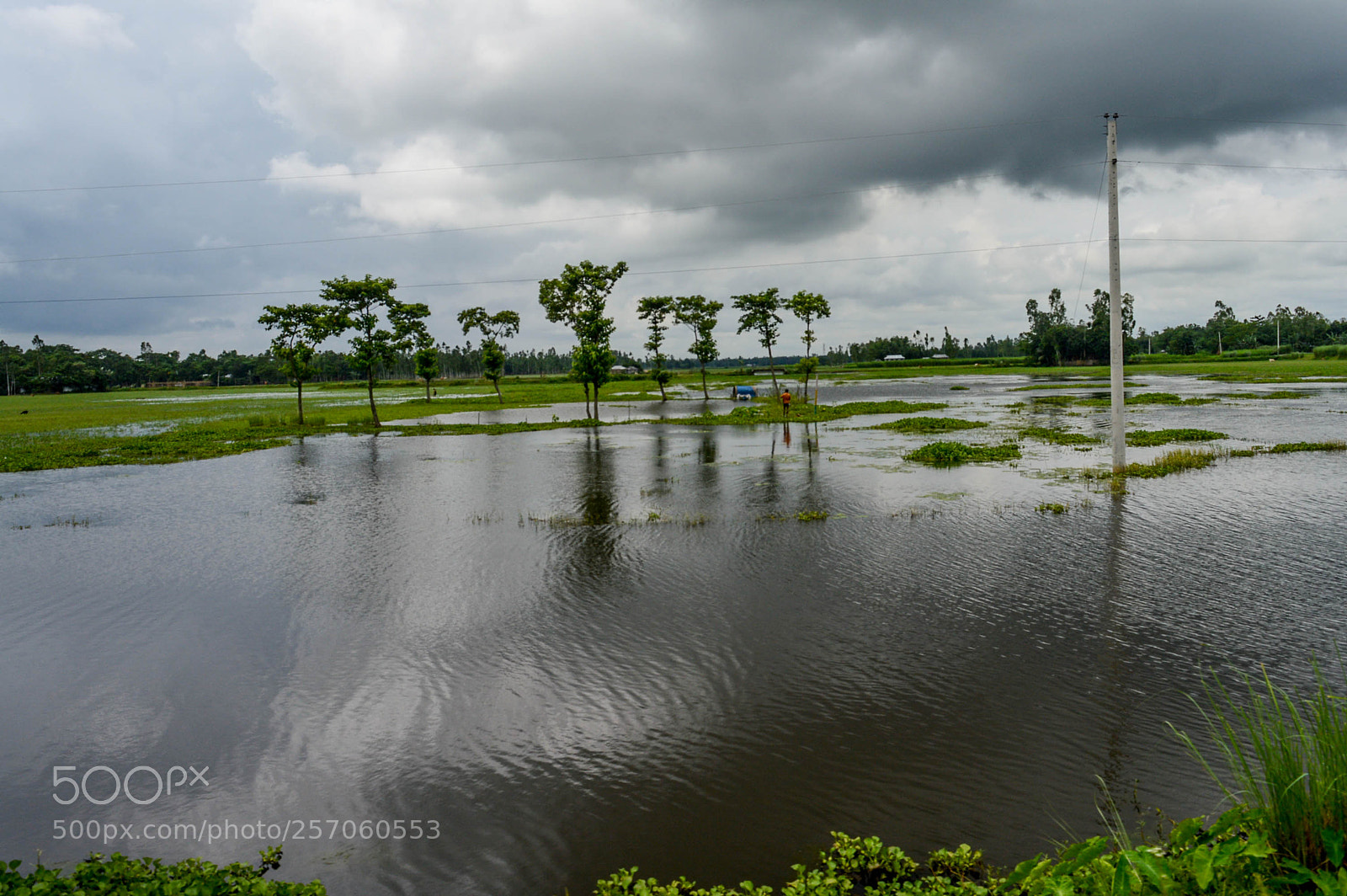 Nikon D3200 sample photo. Light~shade & rain! photography