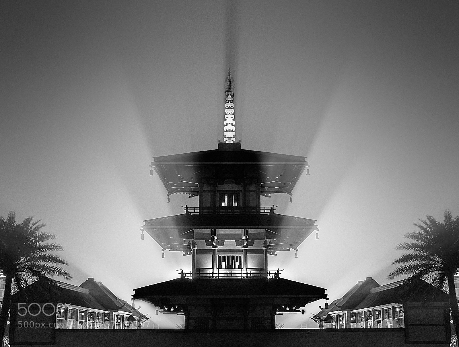 Nikon D500 sample photo. Enlightened photography