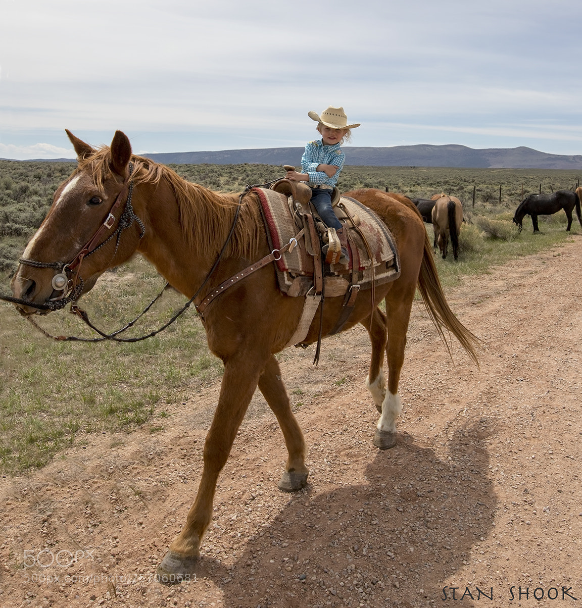 Canon EOS 6D Mark II sample photo. Hang on cowgirl photography