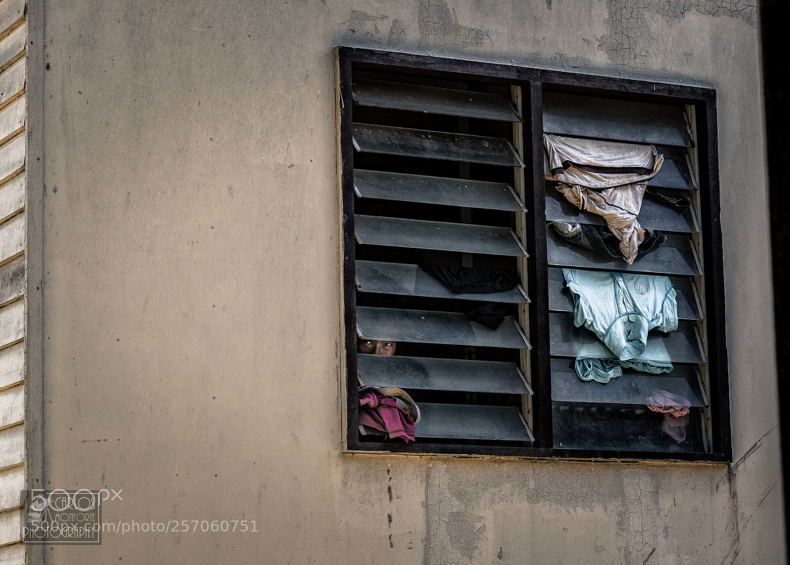 Canon EOS-1D X Mark II sample photo. The window photography