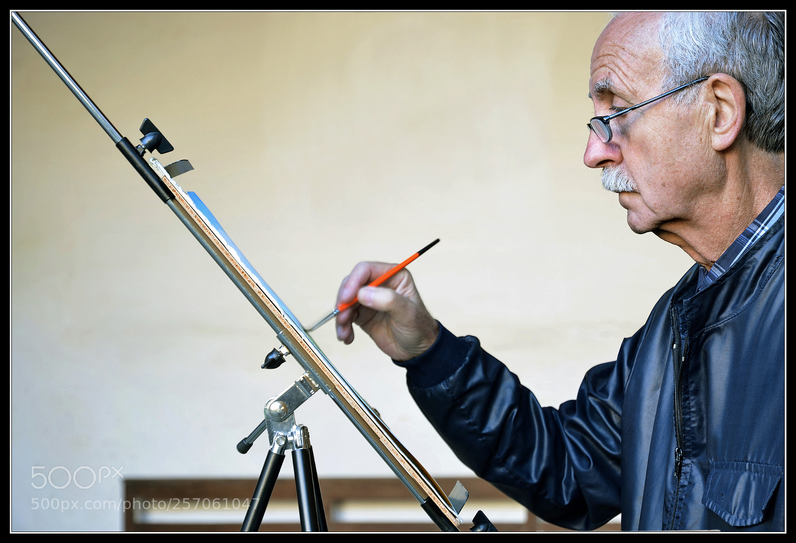 Nikon D5100 sample photo. The painter photography