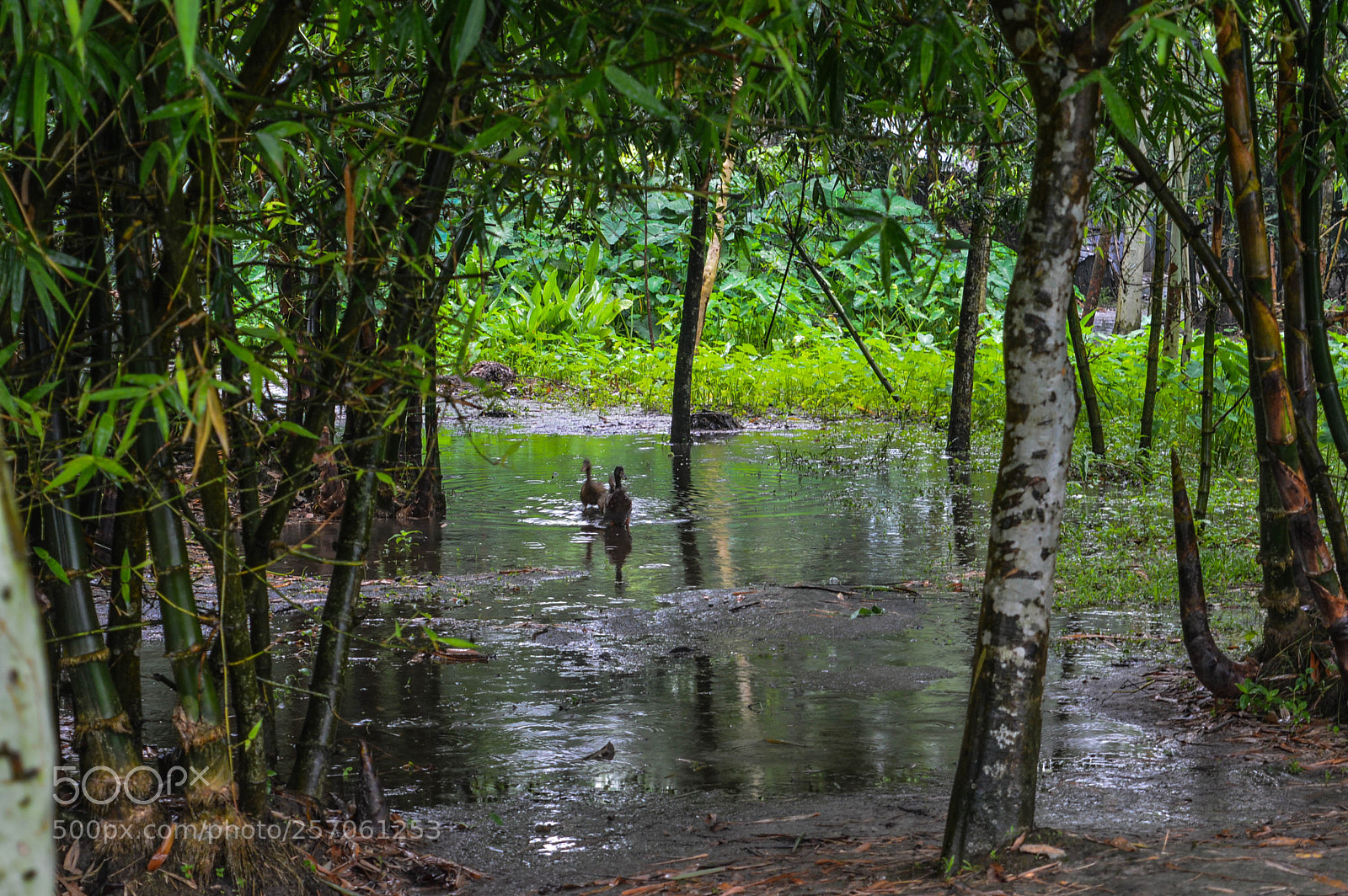 Nikon D3200 sample photo. Love is in the photography